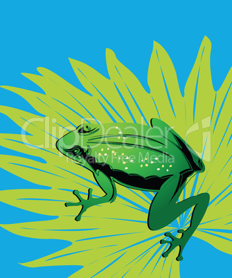 Green frog