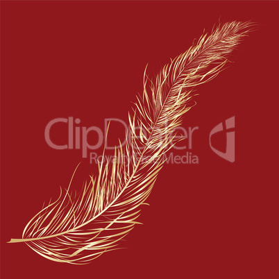 Gold feather