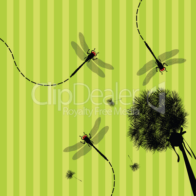 Dandelion and dragonfly