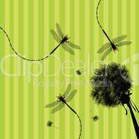 Dandelion and dragonfly