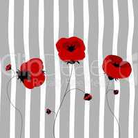 Poppy card