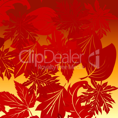 Leaves background