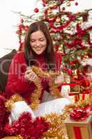 Attractive young woman with Christmas decoration