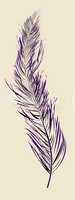 Purple feather