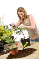 Gardening - woman trimming bonsai tree