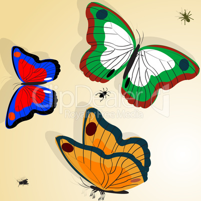 Buterflies illustration