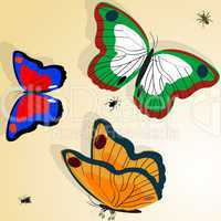 Buterflies illustration