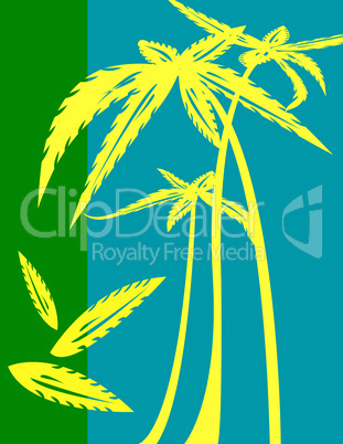 Palm trees illustration