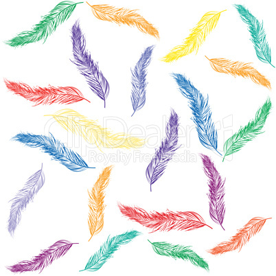 Colored feathers