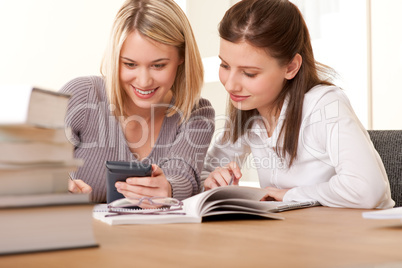 Student series -  Two friends writing homework