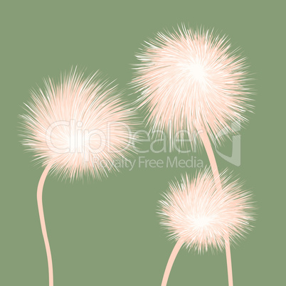 Stylized dandelions