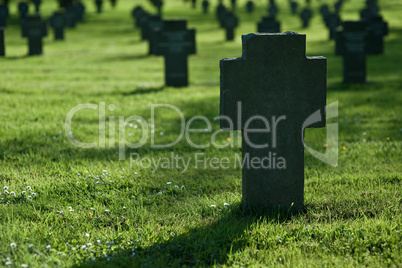 Crosses in grass on cemetery