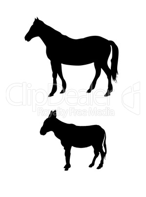Esel und Pferde- Silhouetten