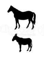 Esel und Pferde- Silhouetten