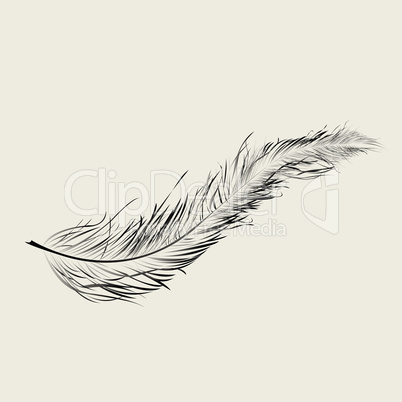Flaoting feather