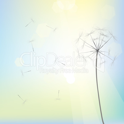 Bright dandelion design
