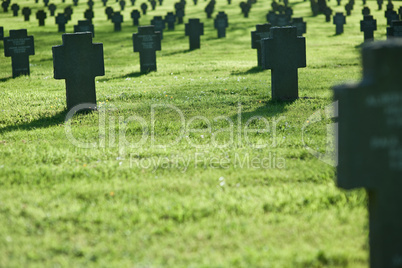 Row of crosses in cemetery with grass