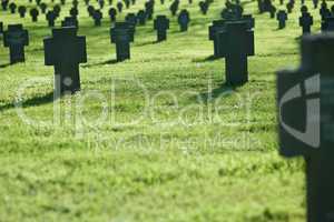 Row of crosses in cemetery with grass