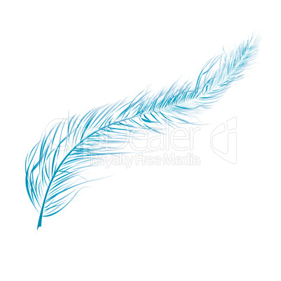 Blue feather