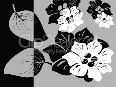Black and white floral card