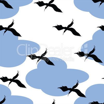 Birds and clouds