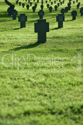 Grass field with crosses during  sunset, cemetery