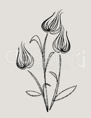 abstract tulip design vector