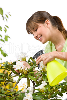 Gardening - woman sprinkling water on Rhododendron blossom flowe