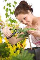 Gardening - woman cutting tree with pruning shears
