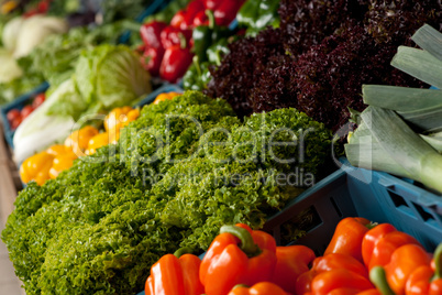 Grocery store shopping - Close-up of vegetable