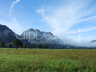 Schwangau im Morgennebel