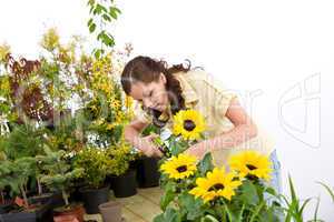 Gardening - woman cutting sunflowers and plants