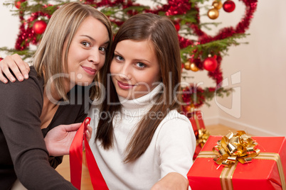 Two young women in front of Christmas tree