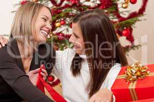 Two young women in front of Christmas tree