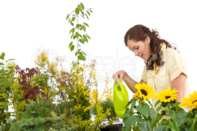 Gardening - Woman pouring plants with watering can