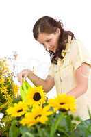 Gardening - Woman pouring sunflowers with watering can