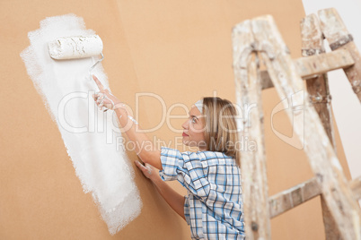 Home improvement: Woman painting wall