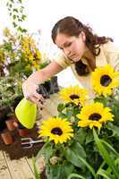 Gardening - woman sprinkling water on sunflower blossom
