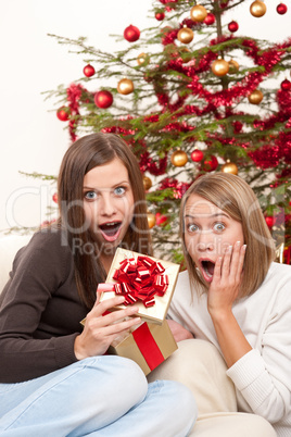 Two smiling women with Christmas present