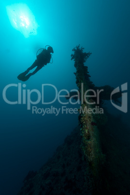 Female scuba diver exploring ship wreck