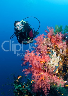 Feamle scuba diver and colourful coral reef
