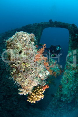 Female diver exporing shipwreck