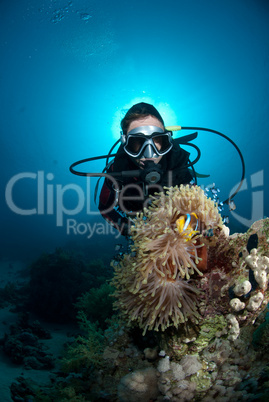 Female scuba diver looking at clown fish and anemone