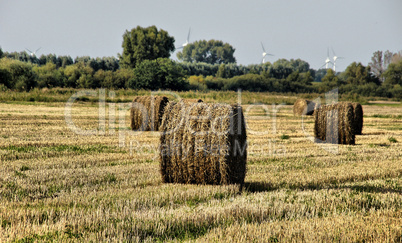 Strohrollen HDR