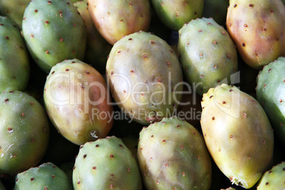 Prickly pears