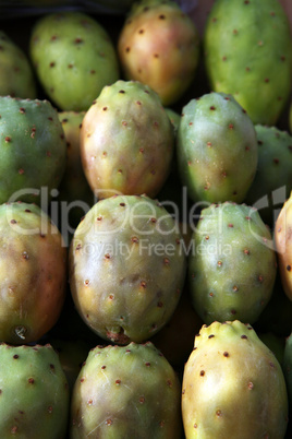 Prickly pears