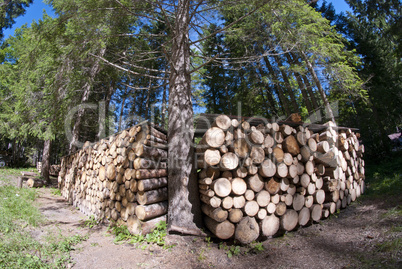 Lumber, Dolomites