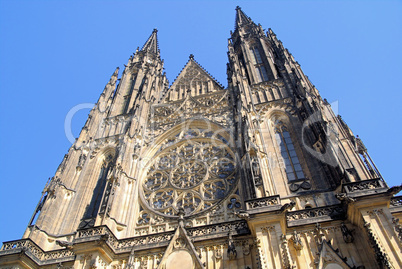 Prag Dom - Prague cathedral 04