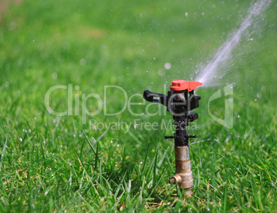 Garden lawn water sprinkler