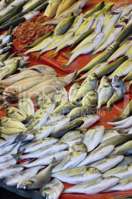 Freshly caught fish for sale at Turkish street market